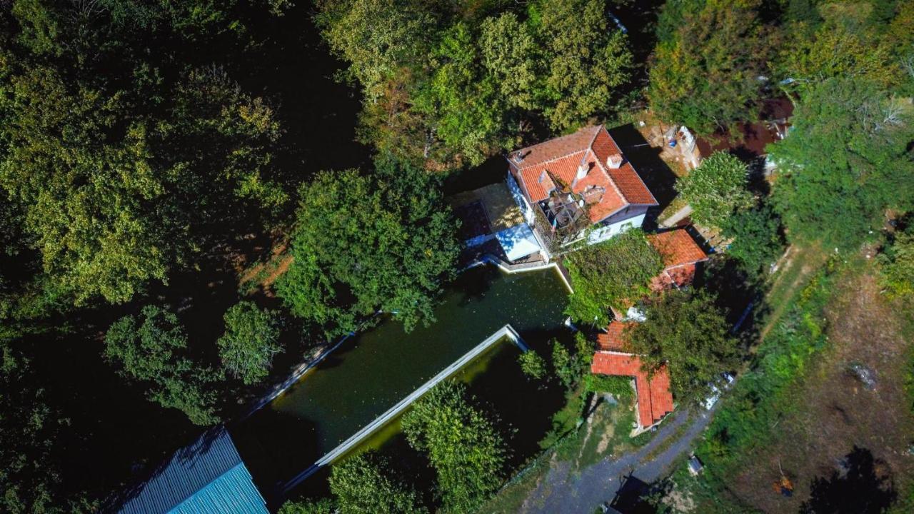 рибарник Forest мagic Lodge *