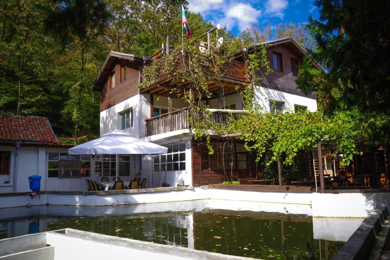Lodge рибарник Forest мagic *