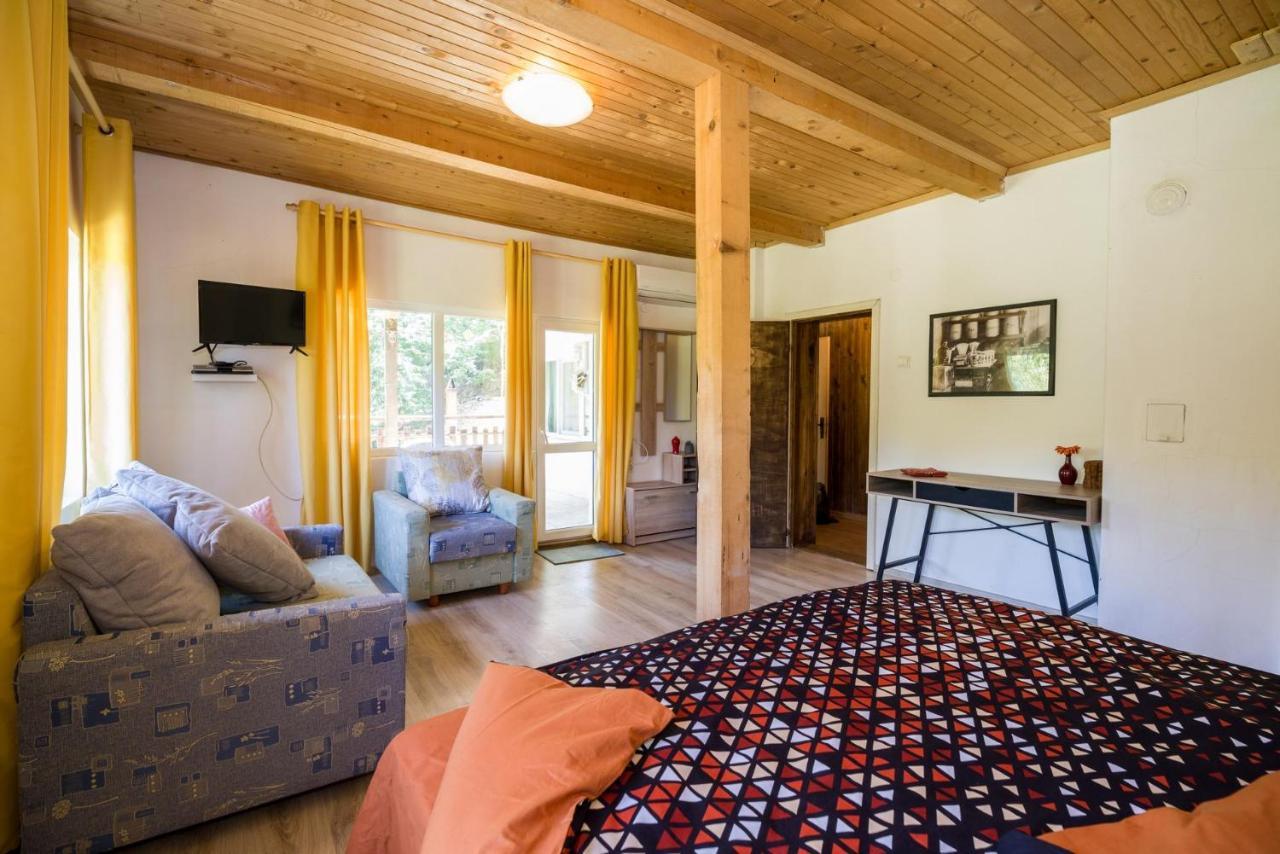 Lodge рибарник Forest мagic *