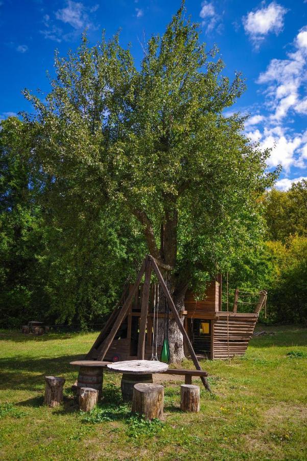Lodge рибарник Forest мagic *