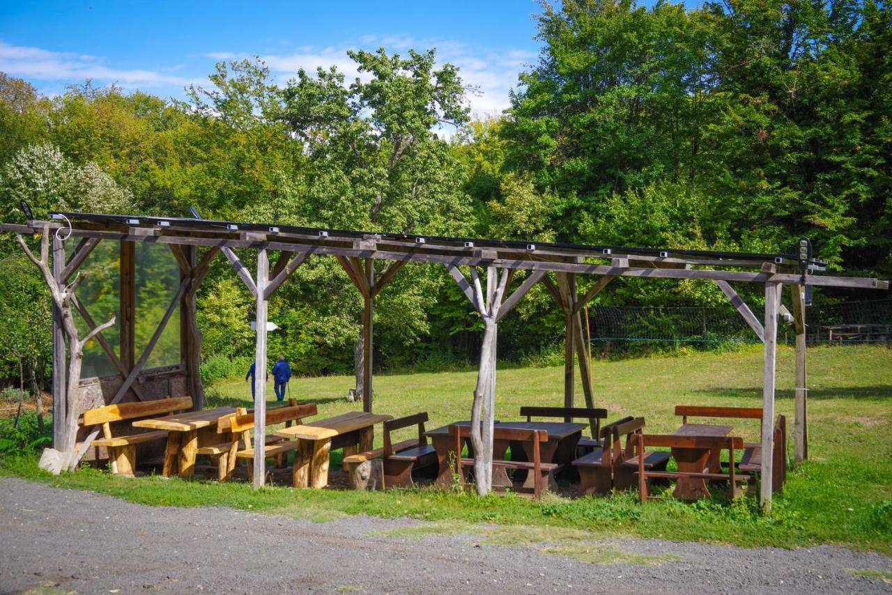 рибарник Forest мagic Lodge Topolitsa