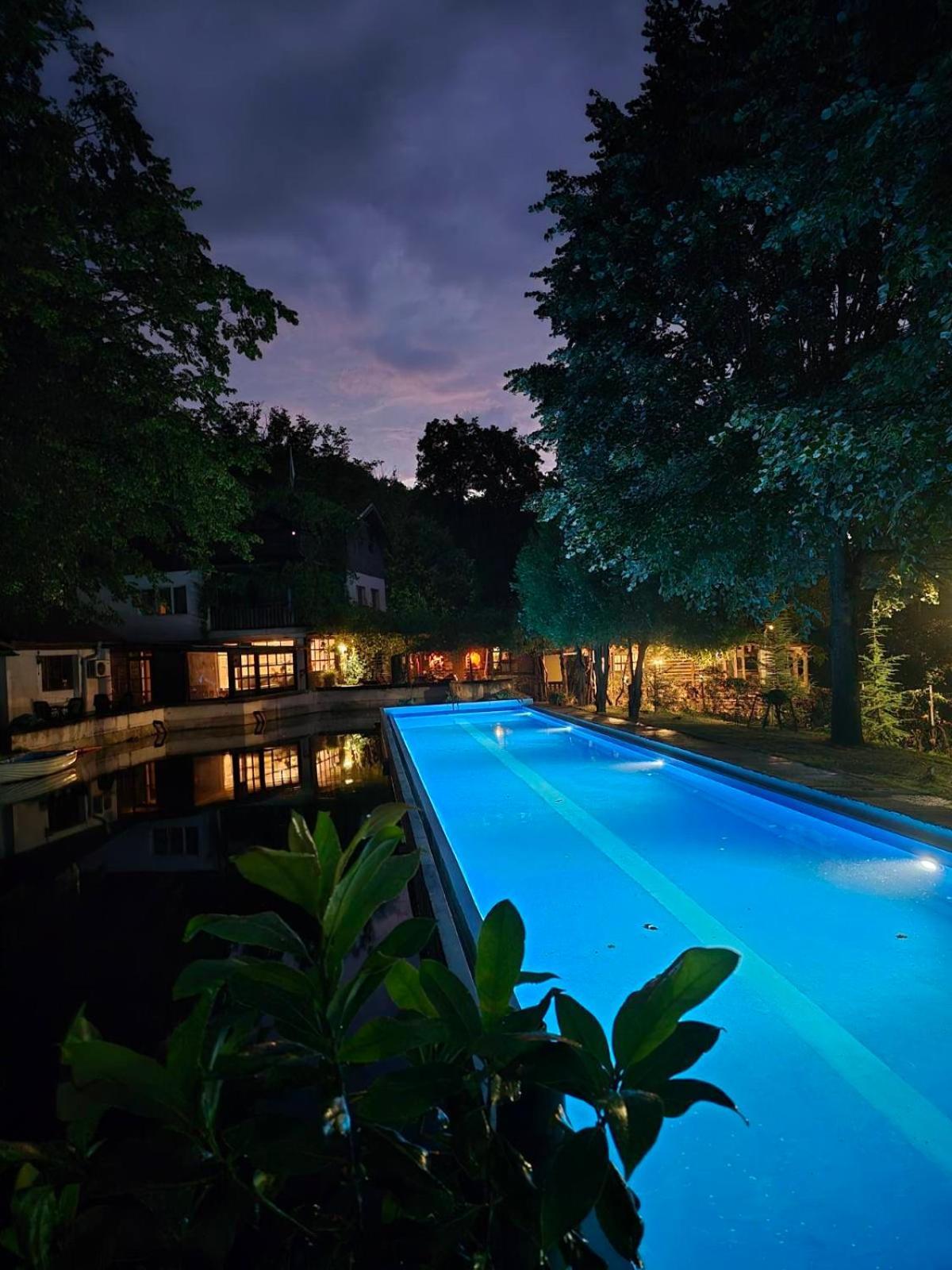 рибарник Forest мagic Lodge Topolitsa