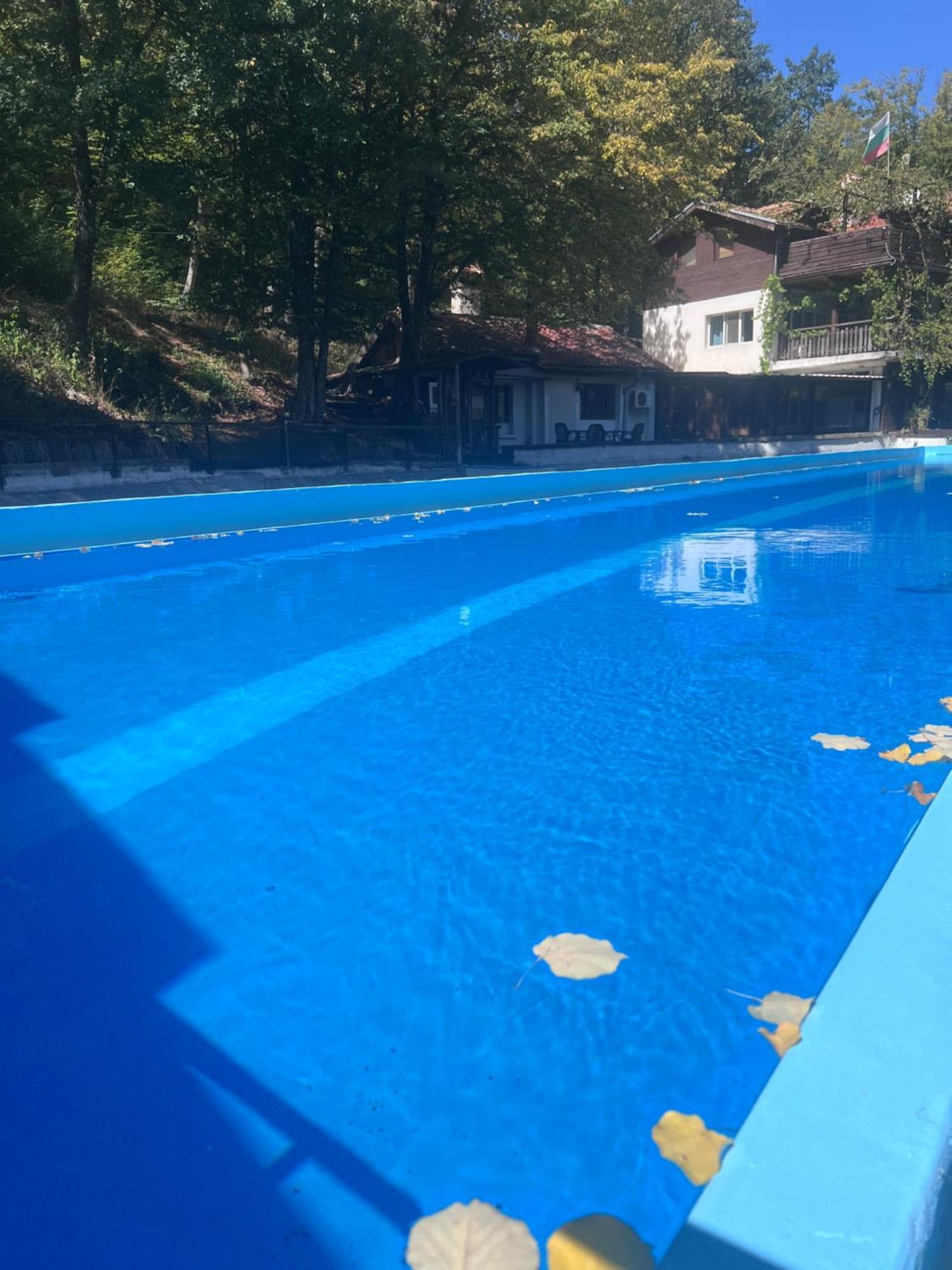 рибарник Forest мagic Lodge Topolitsa