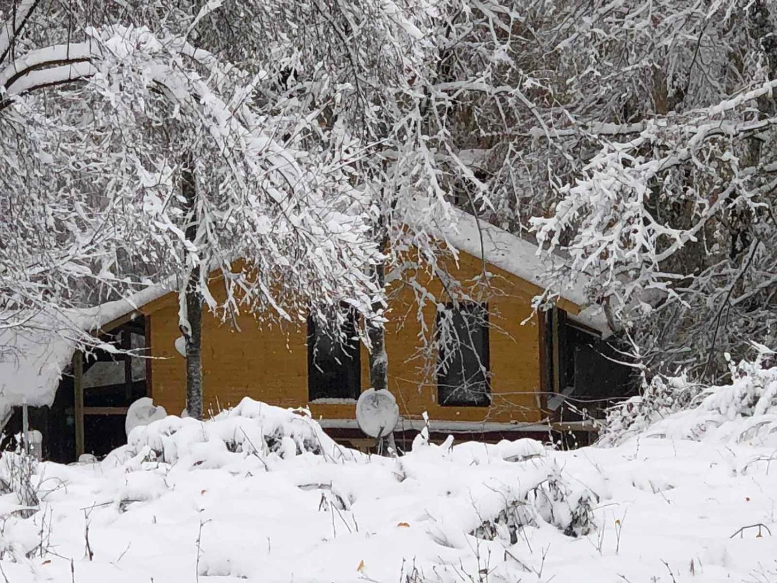 Lodge рибарник Forest мagic Topolitsa